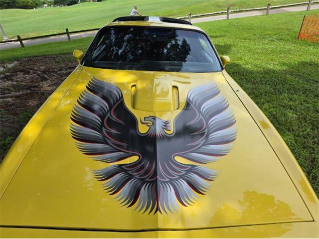 1979 Pontiac Firebird Trans Am (CC-2120983) for sale in Cadillac, Michigan