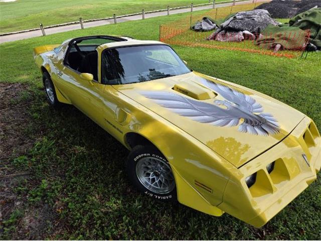 1979 Pontiac Firebird Trans Am (CC-2120983) for sale in Cadillac, Michigan