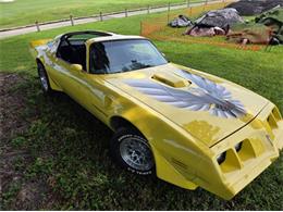 1979 Pontiac Firebird Trans Am (CC-2120983) for sale in Cadillac, Michigan