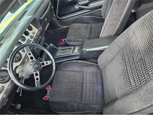 1979 Pontiac Firebird Trans Am (CC-2120983) for sale in Cadillac, Michigan