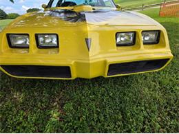 1979 Pontiac Firebird Trans Am (CC-2120983) for sale in Cadillac, Michigan