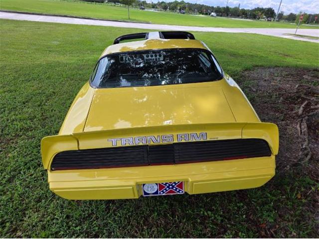 1979 Pontiac Firebird Trans Am (CC-2120983) for sale in Cadillac, Michigan