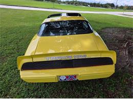 1979 Pontiac Firebird Trans Am (CC-2120983) for sale in Cadillac, Michigan