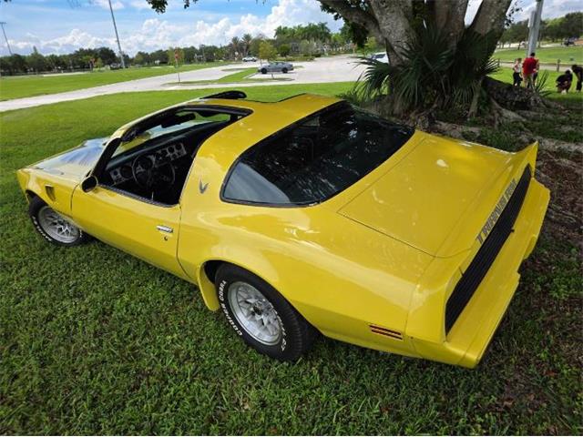 1979 Pontiac Firebird Trans Am (CC-2120983) for sale in Cadillac, Michigan
