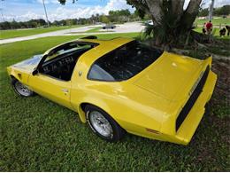 1979 Pontiac Firebird Trans Am (CC-2120983) for sale in Cadillac, Michigan