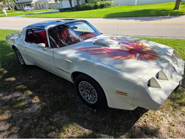 1979 Pontiac Firebird (CC-2120985) for sale in Cadillac, Michigan