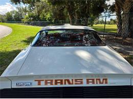 1979 Pontiac Firebird (CC-2120985) for sale in Cadillac, Michigan