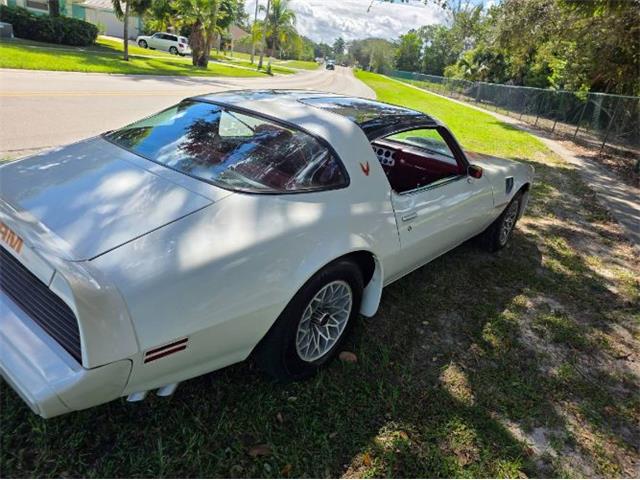 1979 Pontiac Firebird (CC-2120985) for sale in Cadillac, Michigan
