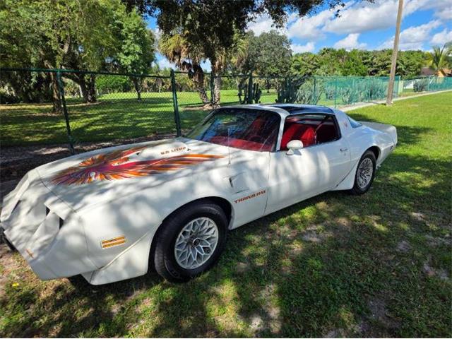 1979 Pontiac Firebird (CC-2120985) for sale in Cadillac, Michigan
