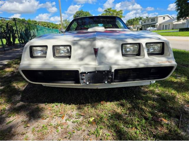 1979 Pontiac Firebird (CC-2120985) for sale in Cadillac, Michigan