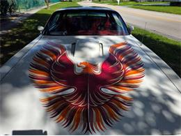 1979 Pontiac Firebird (CC-2120985) for sale in Cadillac, Michigan