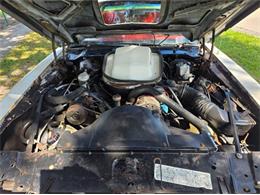 1979 Pontiac Firebird (CC-2120985) for sale in Cadillac, Michigan