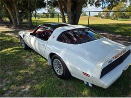 1979 Pontiac Firebird (CC-2120985) for sale in Cadillac, Michigan