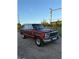 1986 Jeep Grand Wagoneer (CC-2120988) for sale in Cadillac, Michigan