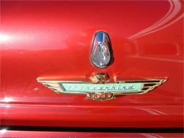 1957 Ford Thunderbird (CC-297380) for sale in Sarasota, Florida