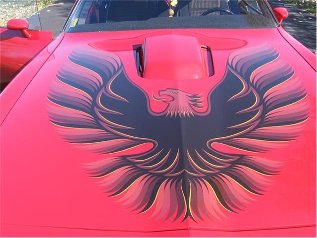 1981 Pontiac Firebird Trans Am (CC-38775) for sale in Seaman, Ohio