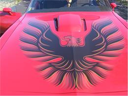 1981 Pontiac Firebird Trans Am (CC-38775) for sale in Seaman, Ohio