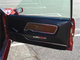 1969 Ford Mustang Mach 1 (CC-319445) for sale in Staten Island, New York