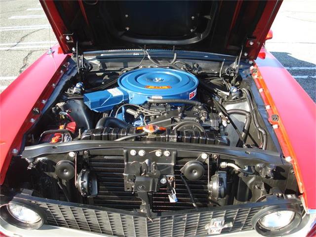 1969 Ford Mustang Mach 1 (CC-319445) for sale in Staten Island, New York