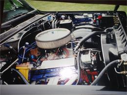 1973 Chevrolet 1/2 Ton Pickup (CC-340502) for sale in Butler, Pennsylvania