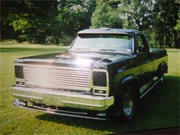 1973 Chevrolet 1/2 Ton Pickup (CC-340502) for sale in Butler, Pennsylvania