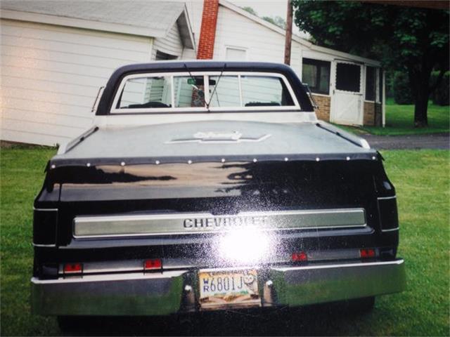 1973 Chevrolet 1/2 Ton Pickup (CC-340502) for sale in Butler, Pennsylvania