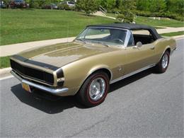 1967 Chevrolet Camaro RS/SS (CC-357606) for sale in Woodstock, Connecticut
