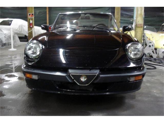 1989 Alfa Romeo Spider (CC-367238) for sale in San Diego, California