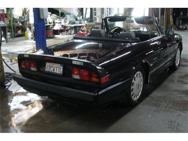 1989 Alfa Romeo Spider (CC-367238) for sale in San Diego, California