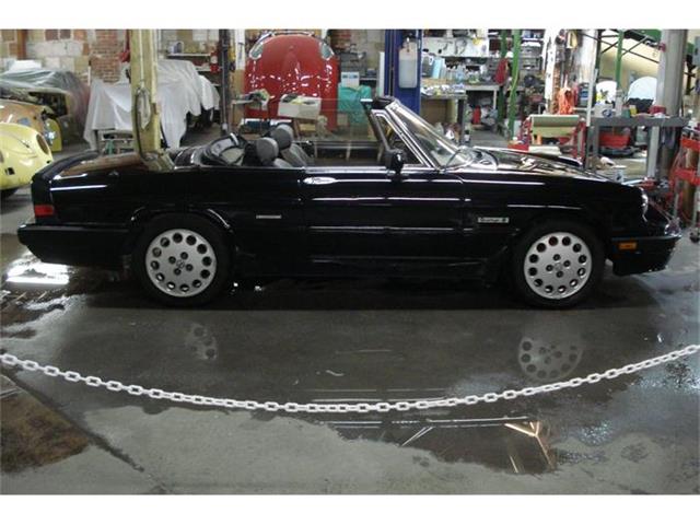 1989 Alfa Romeo Spider (CC-367238) for sale in San Diego, California