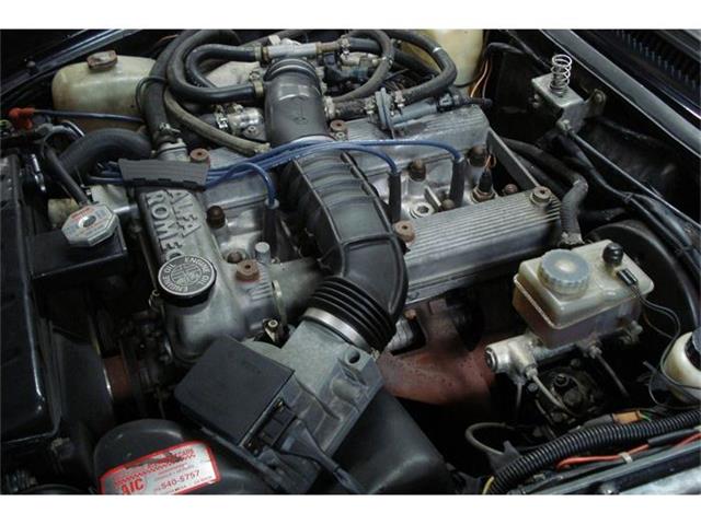 1989 Alfa Romeo Spider (CC-367238) for sale in San Diego, California