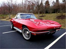 1966 Chevrolet Corvette Stingray (CC-375537) for sale in Old Forge, Pennsylvania
