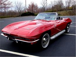 1966 Chevrolet Corvette Stingray (CC-375537) for sale in Old Forge, Pennsylvania