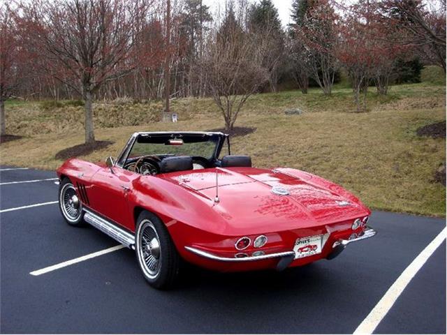 1966 Chevrolet Corvette Stingray (CC-375537) for sale in Old Forge, Pennsylvania