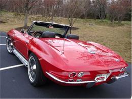 1966 Chevrolet Corvette Stingray (CC-375537) for sale in Old Forge, Pennsylvania