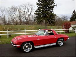 1966 Chevrolet Corvette Stingray (CC-375537) for sale in Old Forge, Pennsylvania