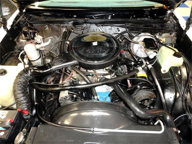 1979 Chevrolet Malibu Classic (CC-381595) for sale in New Braunfels, Texas