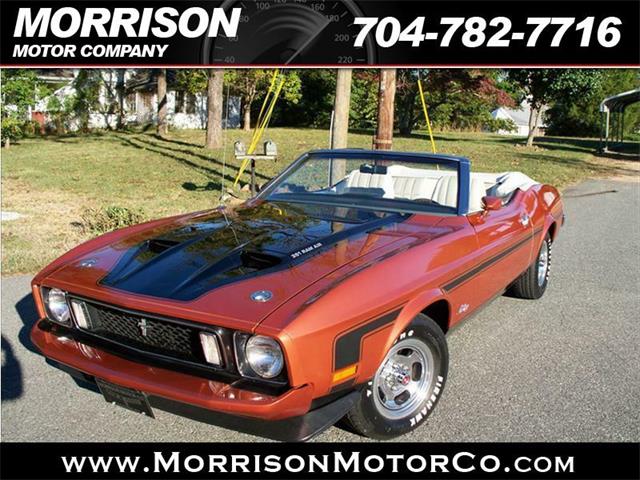 1973 Ford Mustang (CC-387099) for sale in Concord, North Carolina
