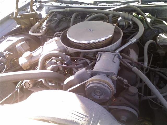 1969 Ford Thunderbird (CC-397089) for sale in Phoenix, Arizona