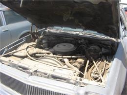 1977 Chevrolet Malibu (CC-397110) for sale in Phoenix, Arizona