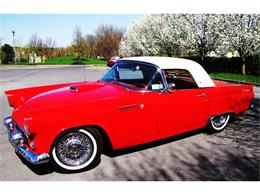 1955 Ford Thunderbird (CC-415200) for sale in Phoenix, New York