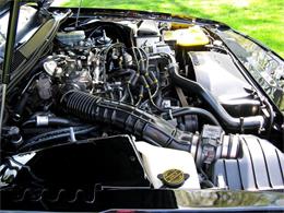 1992 Mercury Cougar (CC-415808) for sale in Shaker Heights, Ohio