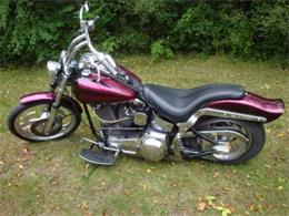 2000 Harley Davidson Soft Tail (CC-420019) for sale in Palatine, Illinois