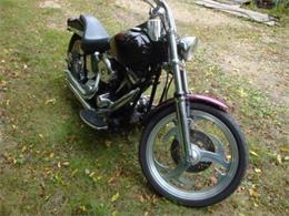 2000 Harley Davidson Soft Tail (CC-420019) for sale in Palatine, Illinois