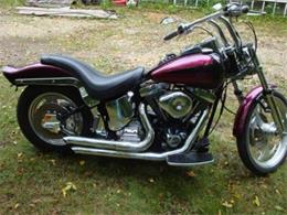 2000 Harley Davidson Soft Tail (CC-420019) for sale in Palatine, Illinois