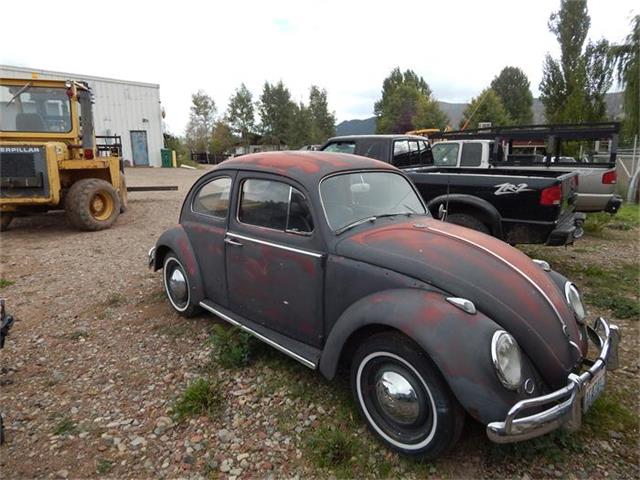 1961 Volkswagen Beetle (CC-430808) for sale in Carbondale, Colorado