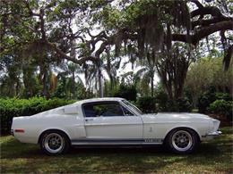 1968 Shelby GT500 (CC-517634) for sale in Sarasota, Florida