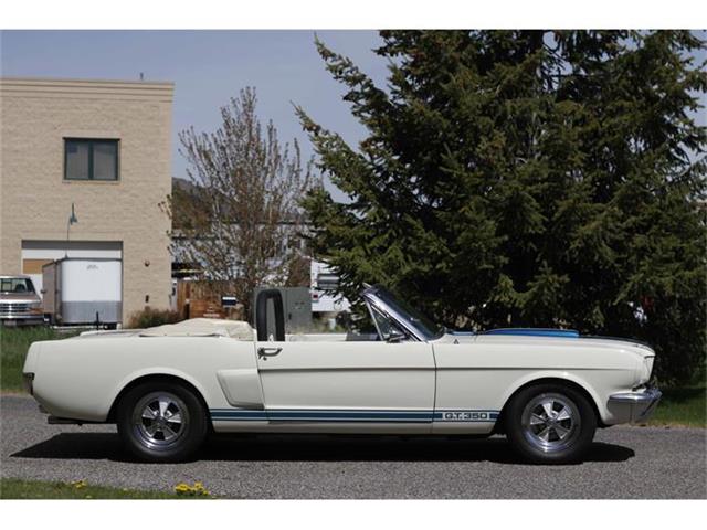1966 Shelby GT350 (CC-531134) for sale in Hailey, Idaho