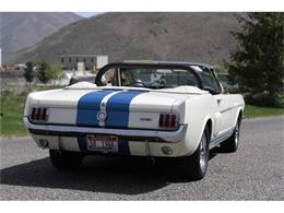 1966 Shelby GT350 (CC-531134) for sale in Hailey, Idaho