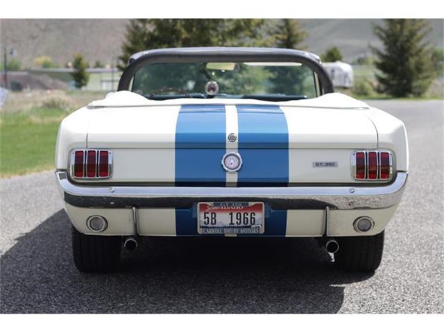 1966 Shelby GT350 (CC-531134) for sale in Hailey, Idaho
